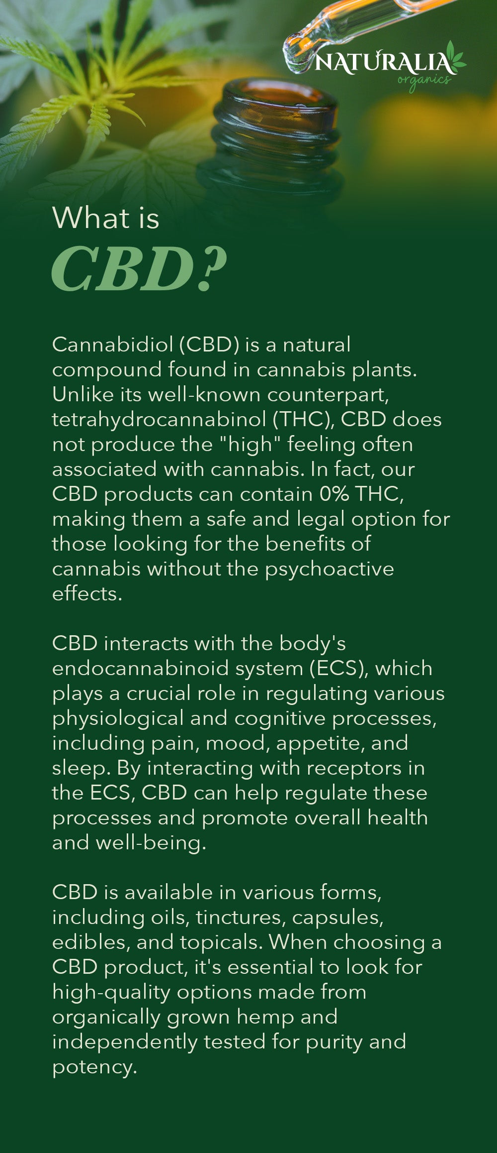 What is CBD?