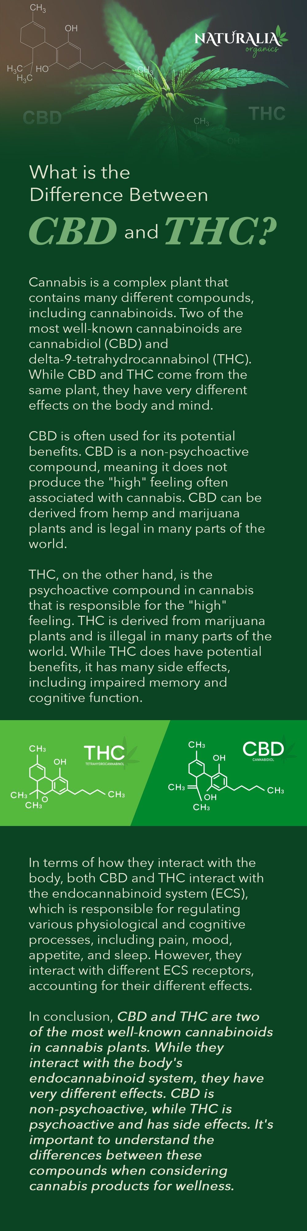 What is the Difference Between CBD  and THC?